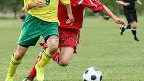 《2025年曼联巅峰时刻揭秘：B费荣膺最佳球员，马奎尔绝杀红军创辉煌》