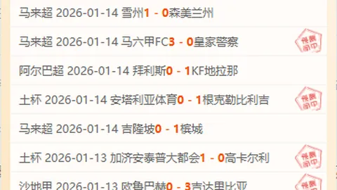 “意外疏忽致歉！马丁内利坦言未察觉布拉德利严重受伤，诚挚祝愿他快速恢复健康”